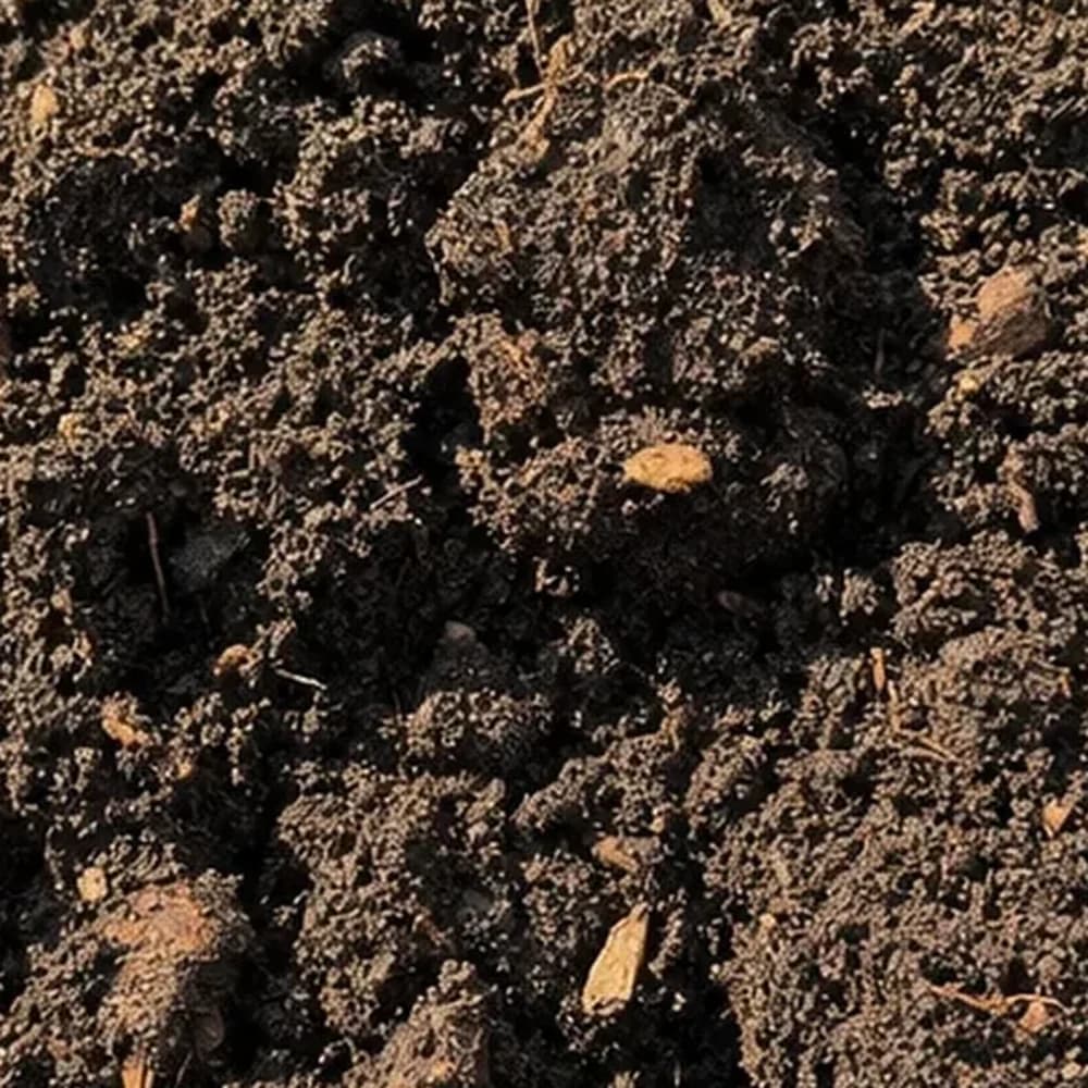 Garden Soil